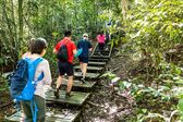im Taman Negara Nationalpark