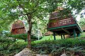 Tabin Wildlife Resort