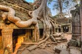 Ta Prohm Tempel