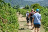 Wanderung bei Vang Vieng