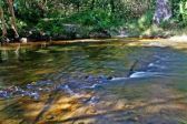 Fluss der 100 Lingas, Kulen Nationalpark