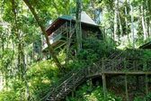 Tabin Wildlife Resort
