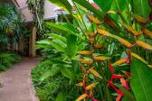 Dheva Mantra Resort