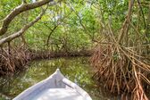 Bootsfahrt durch die Mangroven