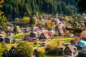 Shirakawago