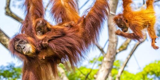 Im Leusert Nationalpark